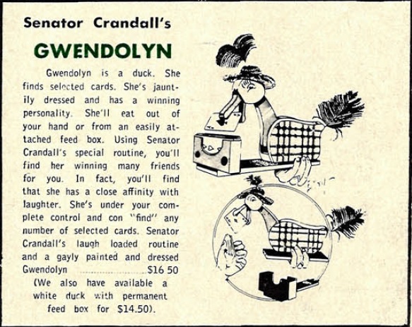 File:GwendolynDuck.jpg