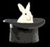 Rabbit in hat.jpg