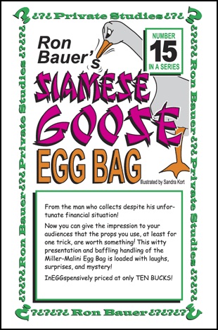 Bauer-Goose-Egg-Bag.jpg